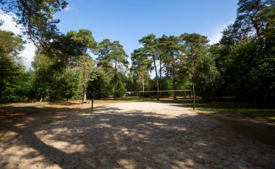 img-3