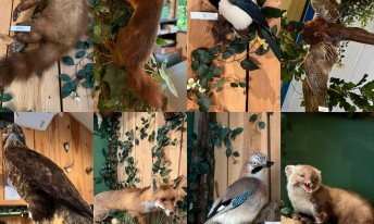 Gallery image mobile 3