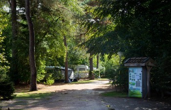 kamperen met hond drenthe