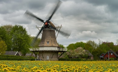 img-5