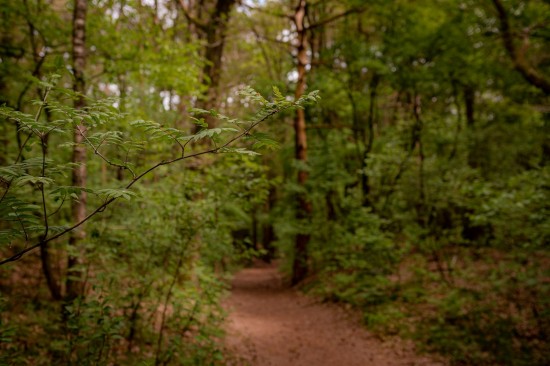 header_banner_image_mobile