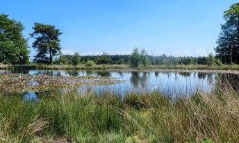 Gallery image mobile 3