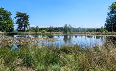 img-22