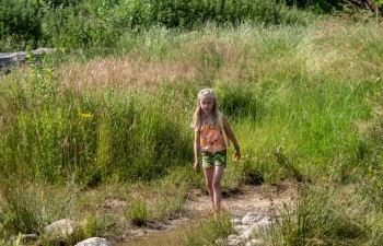 Kamperen met hond in Drenthe