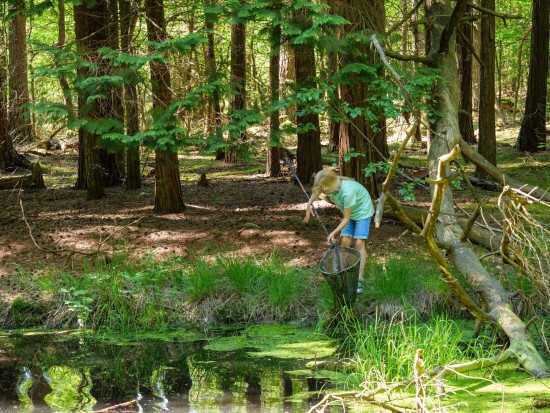 header_banner_image_mobile