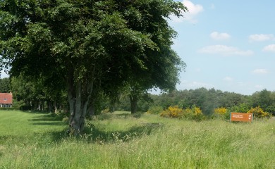 img-11