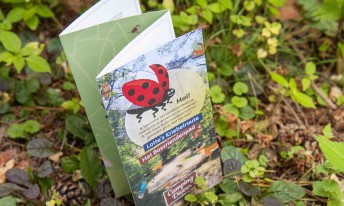 Gallery image mobile 3