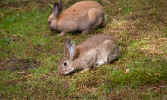 Gallery image mobile 3