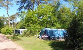 Gallery image mobile 3