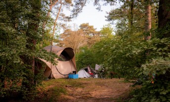 Gallery image mobile 3