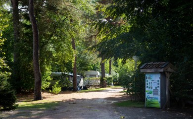 img-1