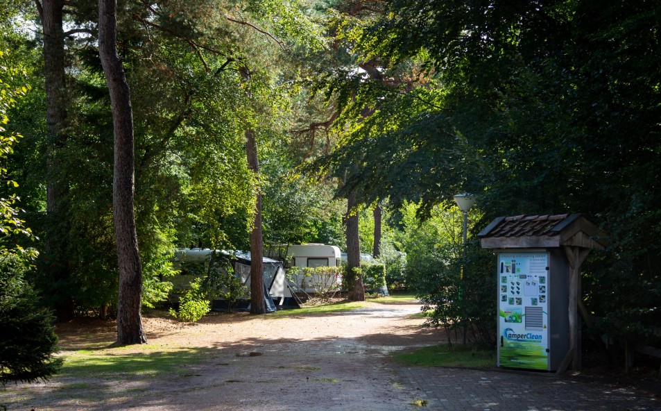 Gallery image 1