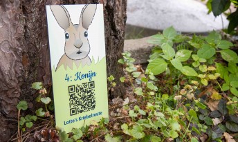 Gallery image mobile 3