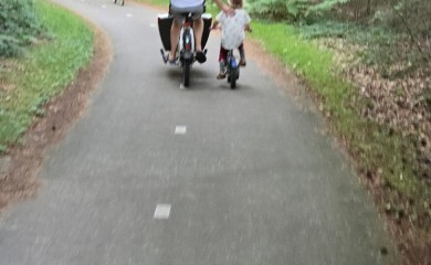 img-15