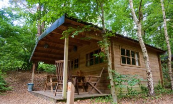 Gallery image mobile 3