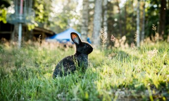 Gallery image mobile 3